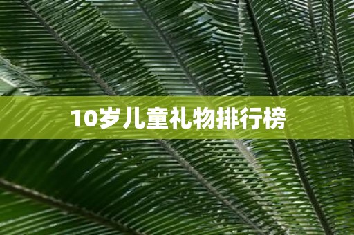 10岁儿童礼物排行榜