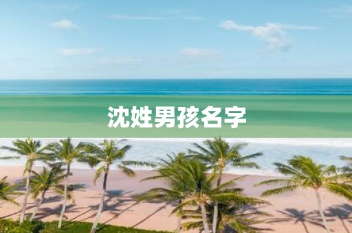 沈姓男孩名字