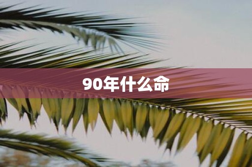 90年什么命
