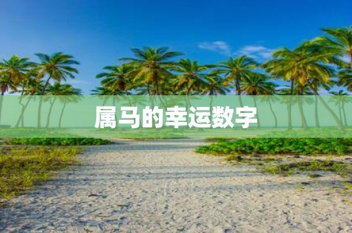 属马的幸运数字