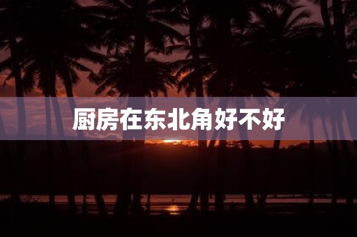 厨房在东北角好不好
