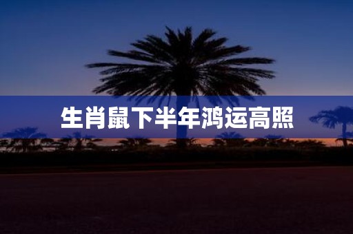 生肖鼠下半年鸿运高照