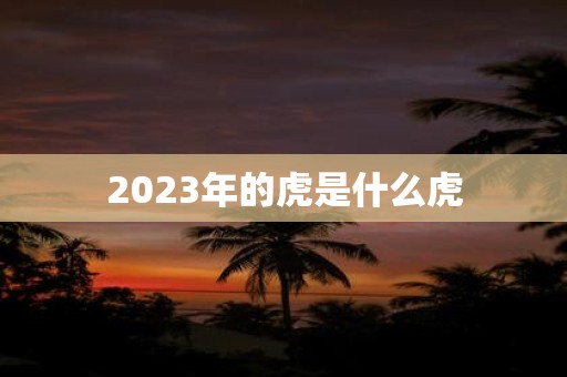 2025年的虎是什么虎