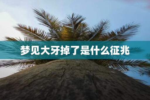 梦见大牙掉了是什么征兆