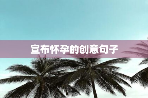 宣布怀孕的创意句子