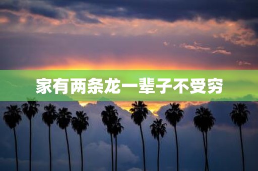 家有两条龙一辈子不受穷