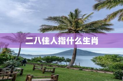 二八佳人指什么生肖