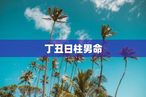 丁丑日柱男命