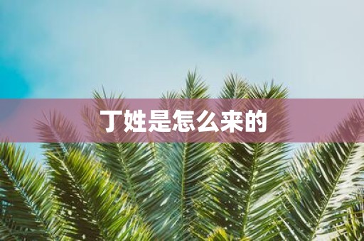 丁姓是怎么来的