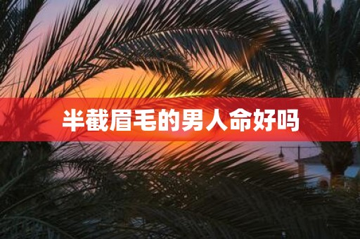 半截眉毛的男人命好吗
