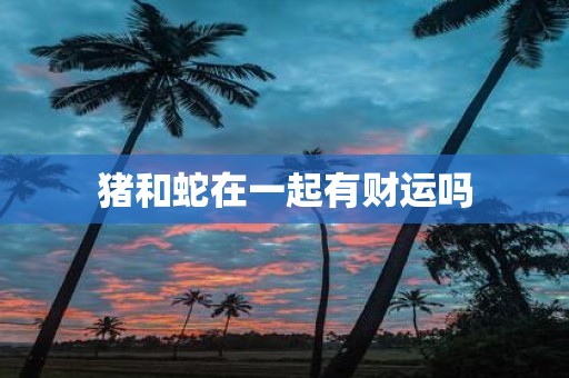 猪和蛇在一起有财运吗