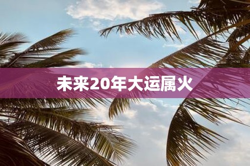 未来20年大运属火