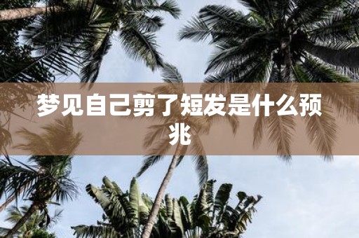 梦见自己剪了短发是什么预兆