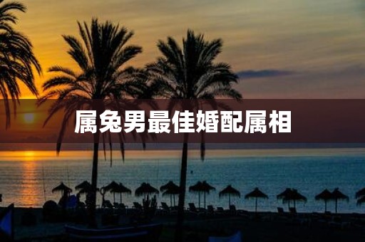 属兔男最佳婚配属相