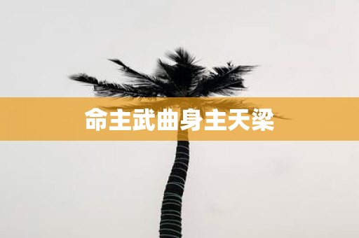 命主武曲身主天梁