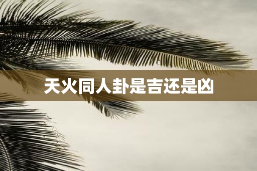 天火同人卦是吉还是凶