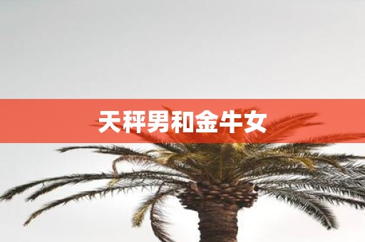 天秤男和金牛女