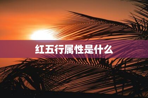 红五行属性是什么