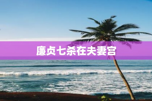 廉贞七杀在夫妻宫