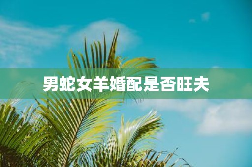 男蛇女羊婚配是否旺夫