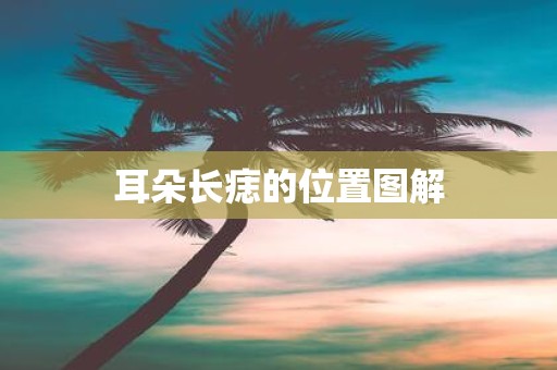 耳朵长痣的位置图解