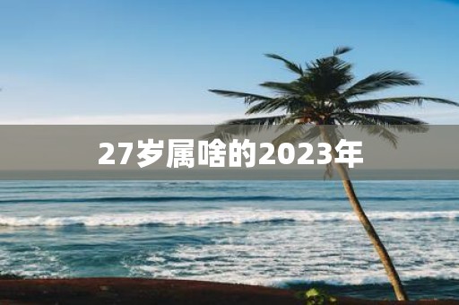 27岁属啥的2023年