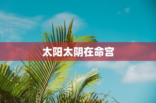 太阳太阴在命宫