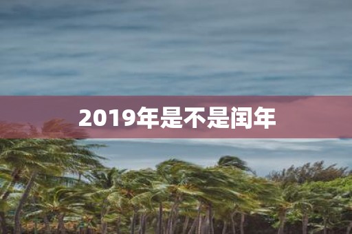 2019年是不是闰年