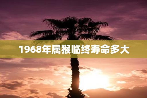 1968年属猴临终寿命多大