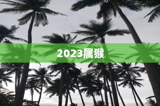 2025属猴