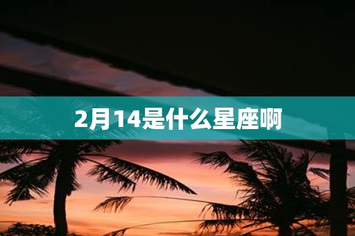 2月14是什么星座啊