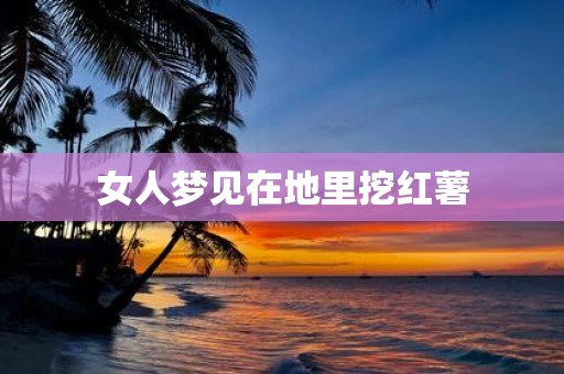 女人梦见在地里挖红薯