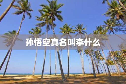 孙悟空真名叫李什么