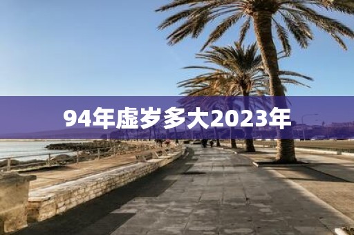 94年虚岁多大2023年