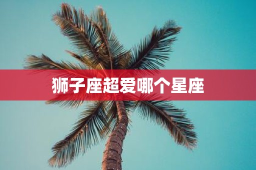 狮子座超爱哪个星座