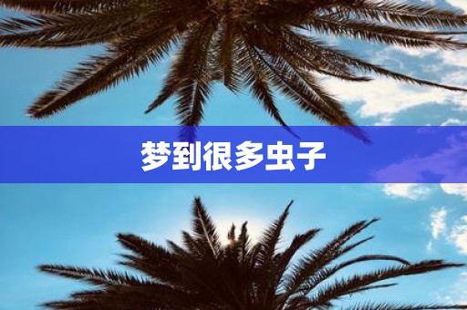 梦到很多虫子