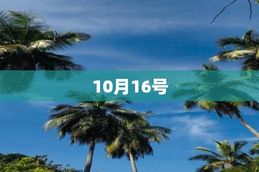 10月16号