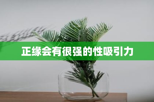 正缘会有很强的性吸引力