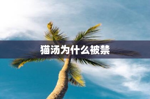 猫汤为什么被禁