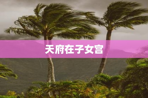 天府在子女宫