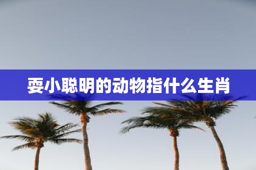 耍小聪明的动物指什么生肖