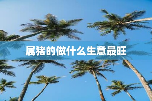 属猪的做什么生意最旺