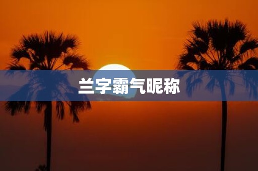 兰字霸气昵称