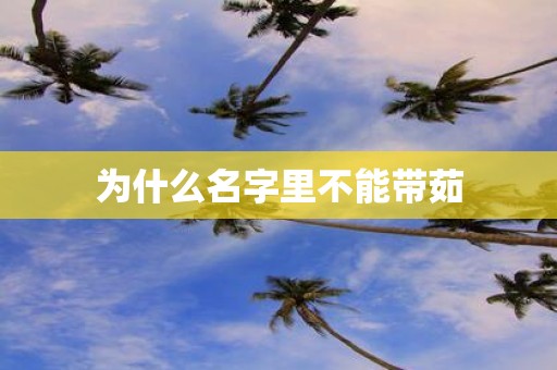 为什么名字里不能带茹
