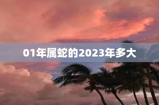 01年属蛇的2025年多大