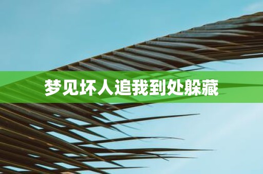 梦见坏人追我到处躲藏