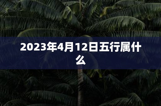 2025年4月12日五行属什么