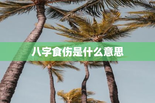 八字食伤是什么意思