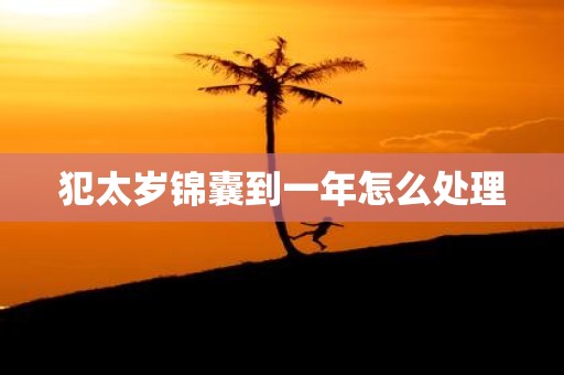 犯太岁锦囊到一年怎么处理