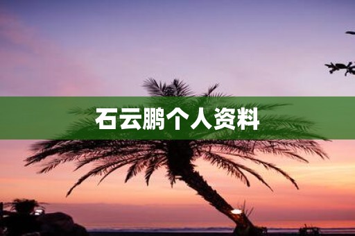 石云鹏个人资料
